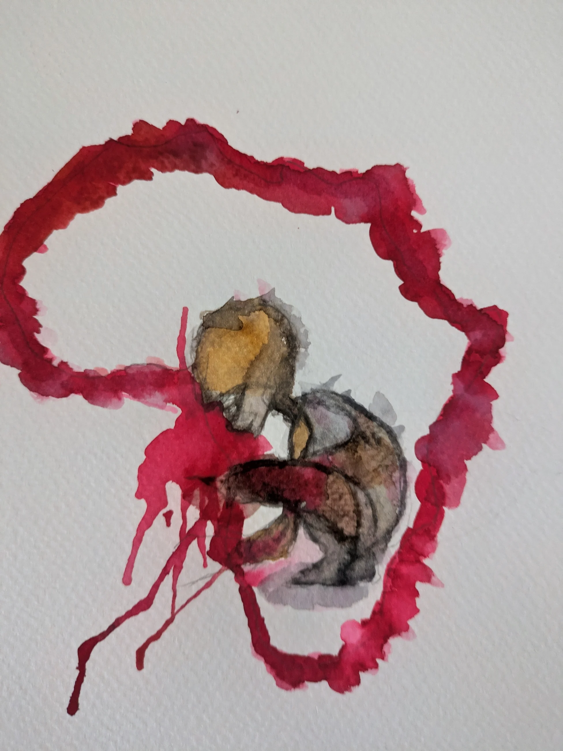 Une silhouette recourbée apparaît à l’intérieur d’une boucle de pigment rouge.