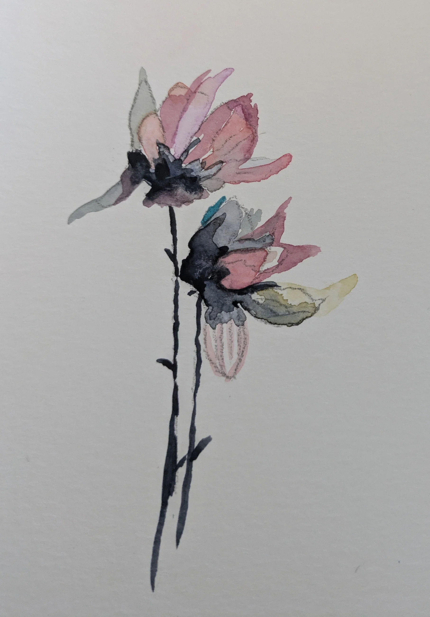 Deux fleurs roses sur de longues tiges fines se penchent dans le blanc du papier.