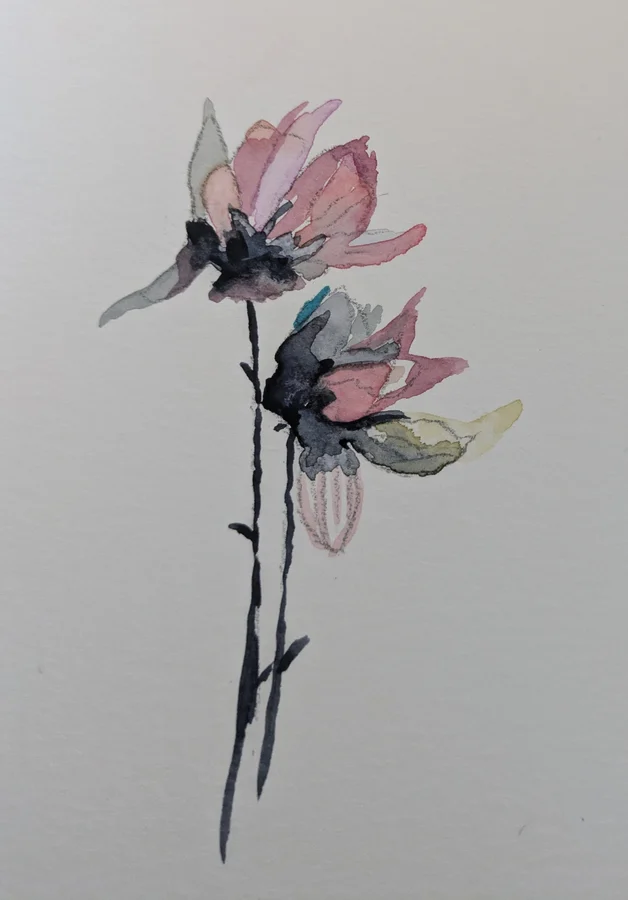 Deux fleurs roses sur de longues tiges fines se penchent dans le blanc du papier.