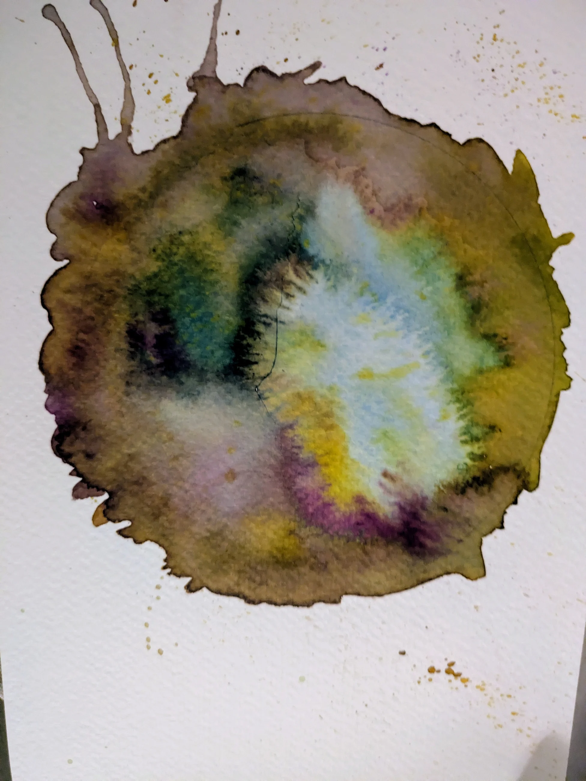 Une tache circulaire de pigment vert, ocre et violet s’ouvre autour d’un centre clair.