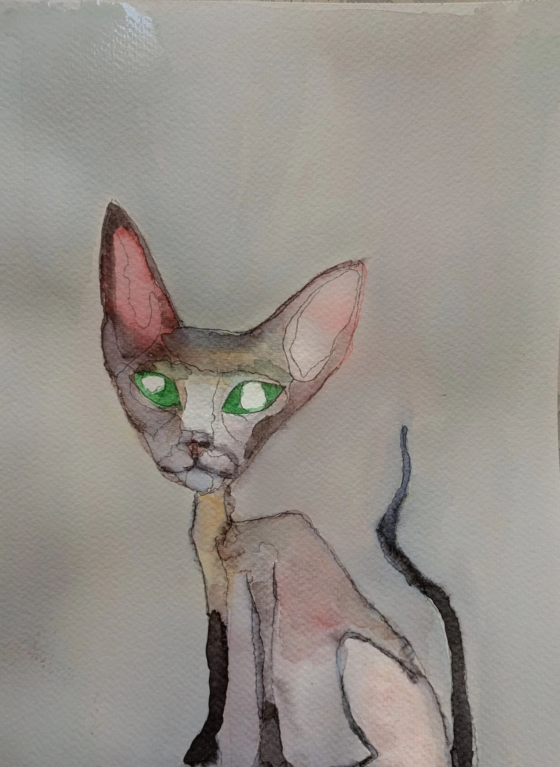 Un chat aux grandes oreilles et aux yeux verts se dessine en teintes rose et sable.