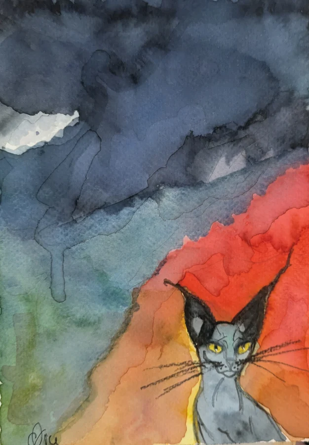 Les yeux jaunes d’un chat émergent au bord d’un paysage bleu, gris et rouge.
